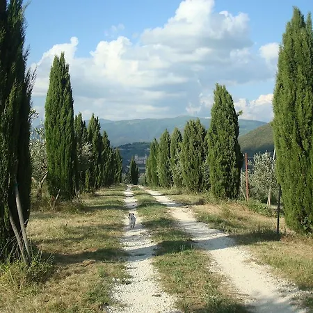Agriturismo La Paladina * Сполето
