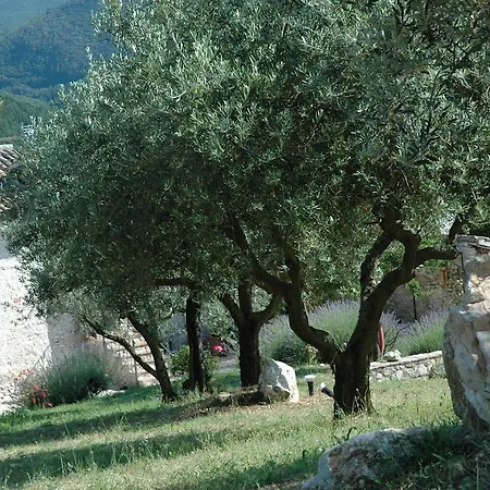Agriturismo La Paladina *