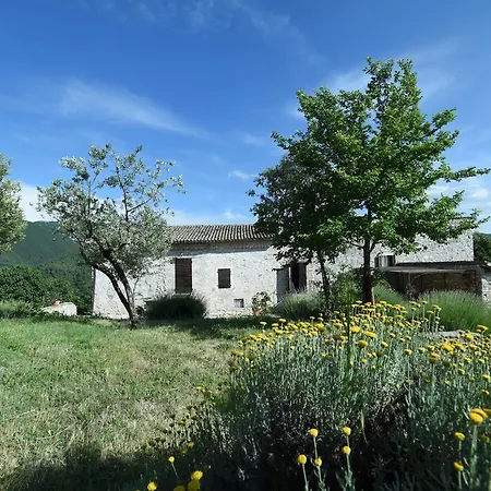 La Paladina