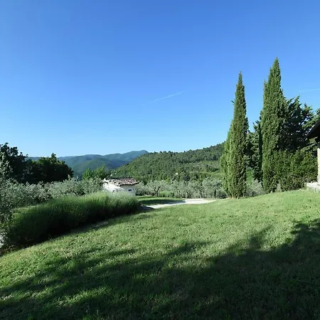 La Paladina